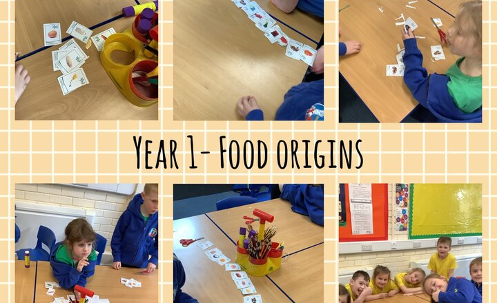 Image of Year 1- Food origins 