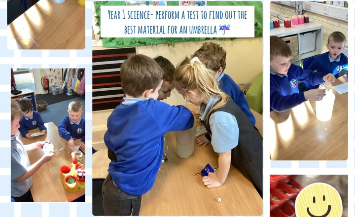 Image of Year 1 Science- Perform a Test