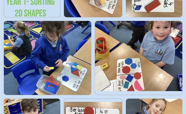 Image of Year 1- Sorting 2D Shapes 