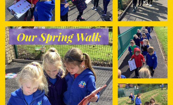 Image of Spring Walk: Reception