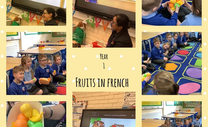 Image of Year 1- Fruits in French 