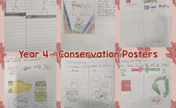 Image of Year 4 - Science: Conservation