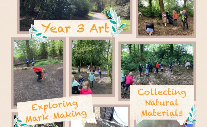 Image of Year 3 Art: Collecting Natural Materials 