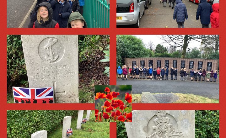 Image of Remembrance Day Walk 