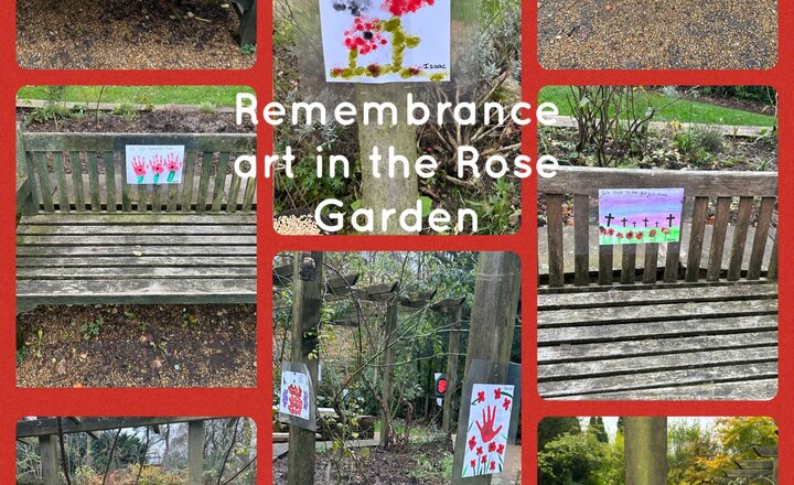 Image of Remembrance Day Art in the Rose Garden, Whitehall Park 