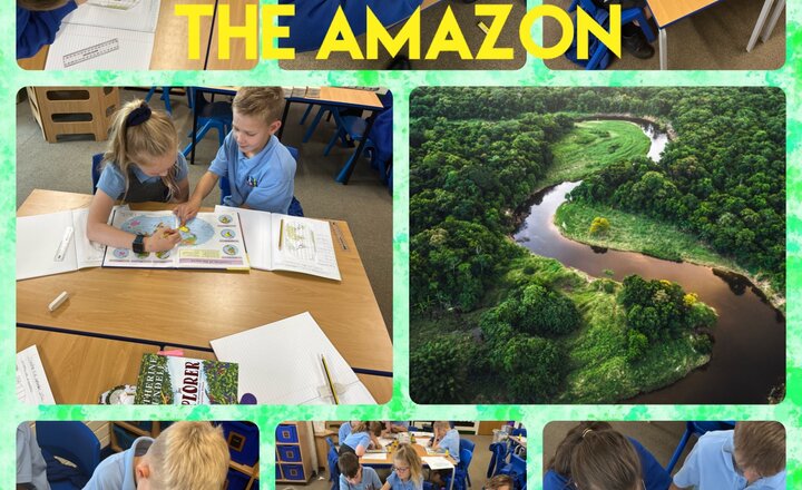 Image of Year 4 Geography - The Amazon