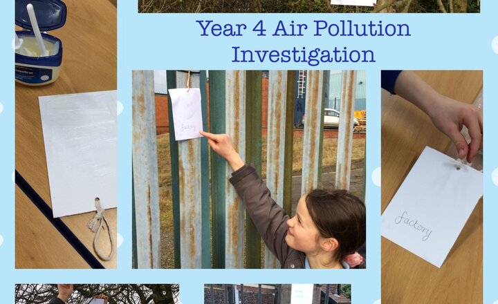 Image of Year 4 - Investigating Air Pollution