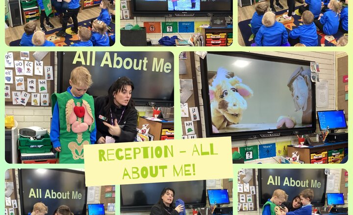 Image of Reception PSHE - All About Me!