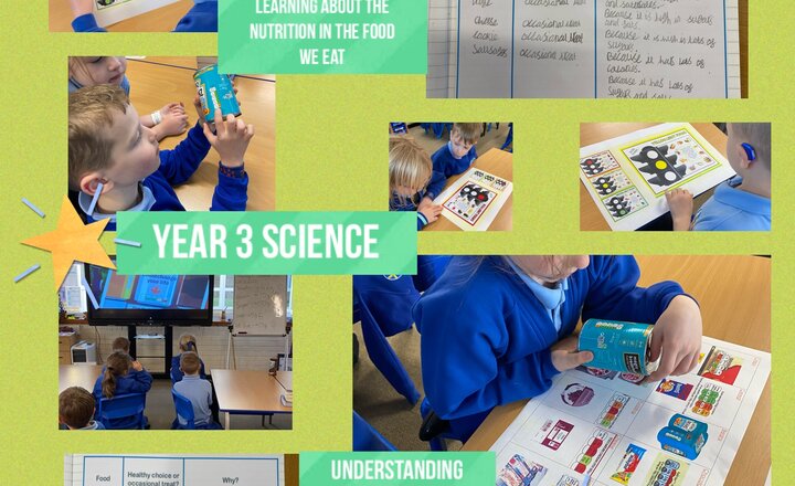 Image of Year 3 Science: Nutrition Labels  