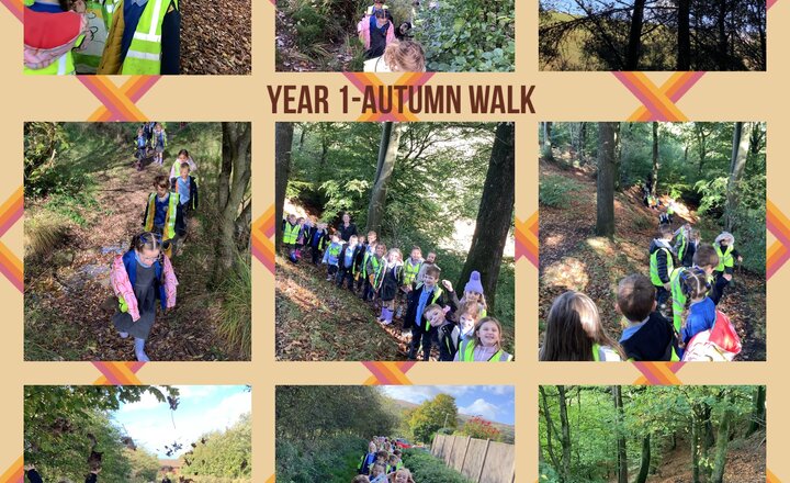 Image of Year 1- Autumn walk