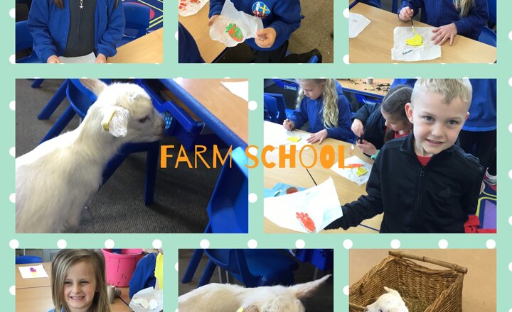 Image of Farm school 
