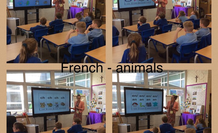 Image of Year 3 French - Animals