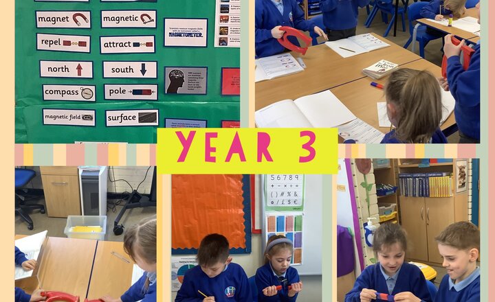 Image of Year 3 Science - Forces and Magnets