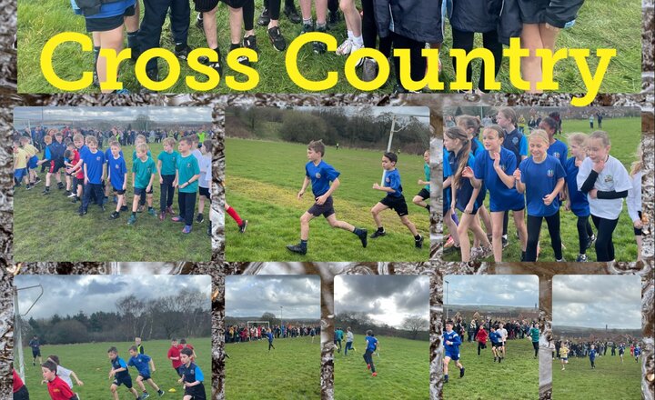 Image of Cross Country