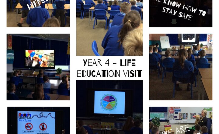 Image of Year 4 - Life Education Session