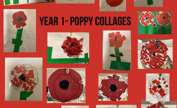 Image of Year 1- Poppy Collages 