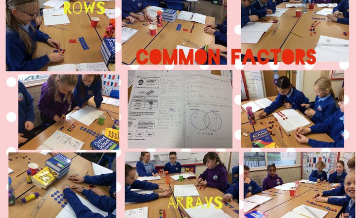 Image of Common Factors- Year 5