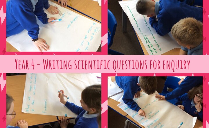 Image of Year 4 - Science: Writing Scientific Questions for an Enquiry
