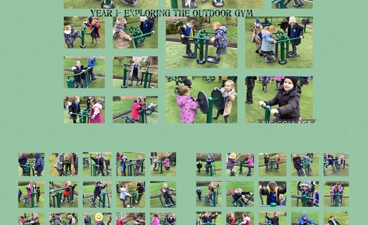 Image of Year 1- Exploring the Outdoor Gym 