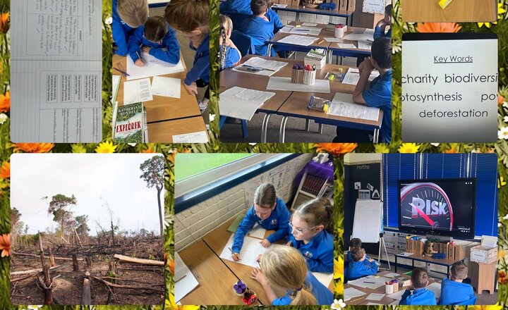 Image of Year 4 Geography- How can we protect the Amazon? 