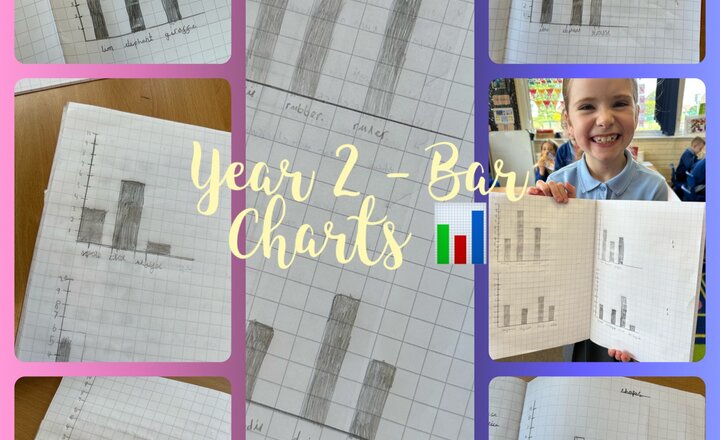 Image of Year 2 - Bar Charts