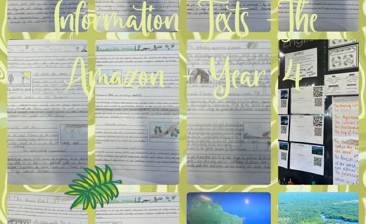 Image of Year 4 Information Texts - All About the Amazon