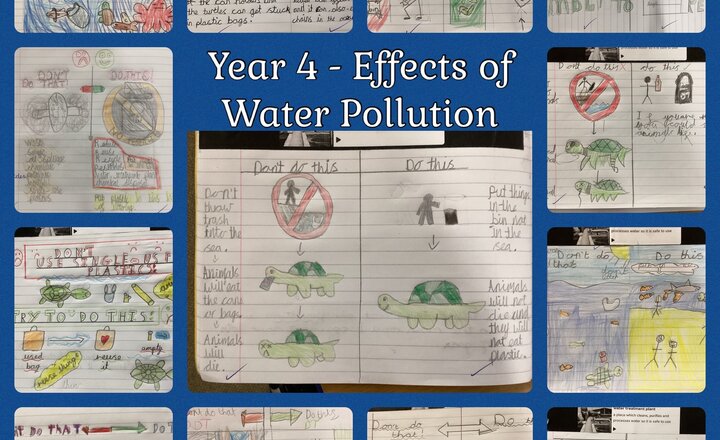 Image of Year 4 - Science: Water Pollution