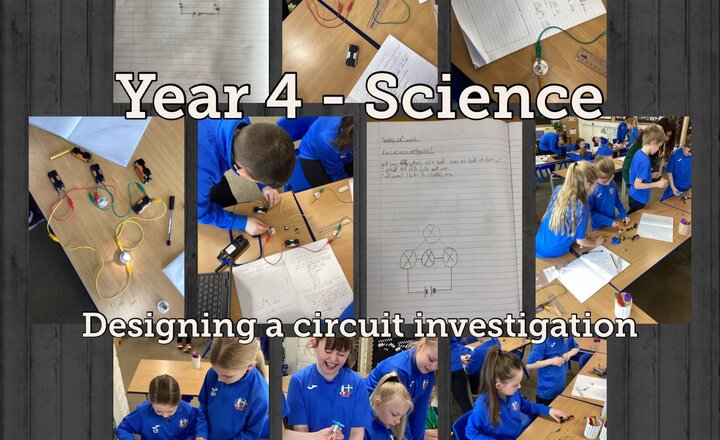 Image of Year 4 - Science: Designing an Investigation