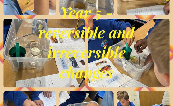Image of Year 5 - Reversible and irreversible changes