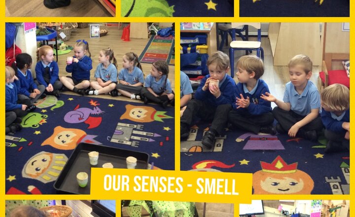 Image of Reception - our sense of smell