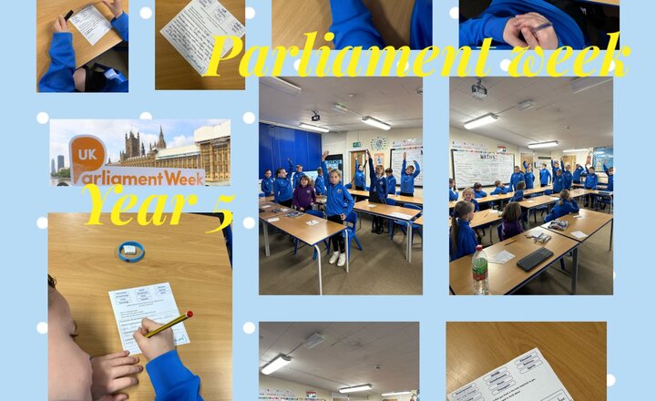 Image of Year 5 - Parliament Week