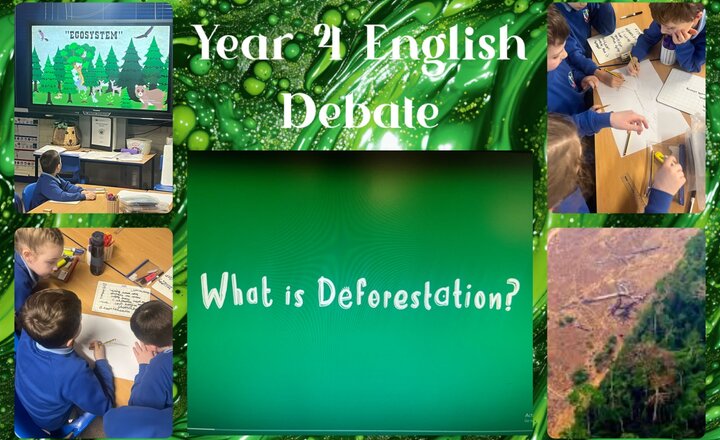 Image of Year 4 English - Debating Deforestation 