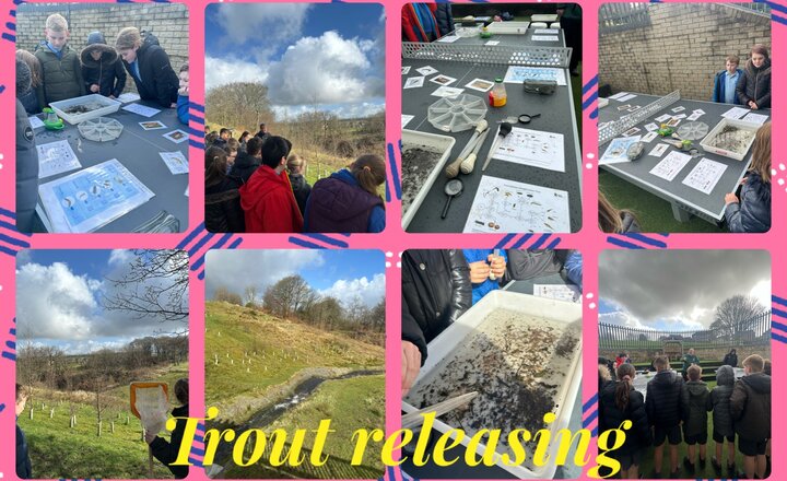 Image of Year 5 - Trout Release