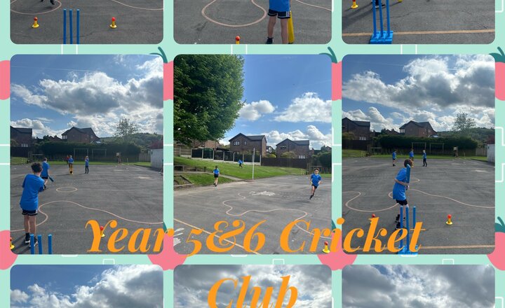 Image of Year 5&6 Cricket 