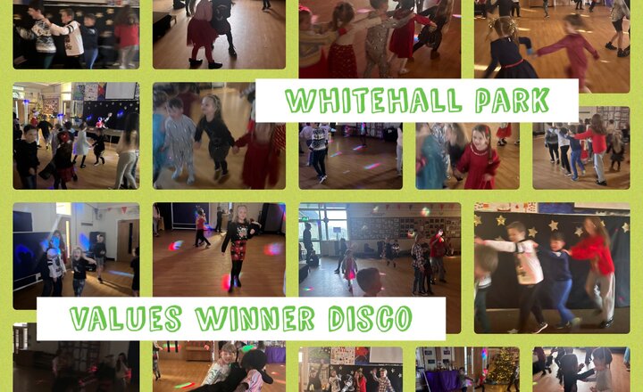 Image of Whitehall Park Values Winner Disco