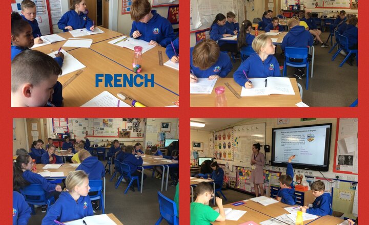 Image of French Reading - Year 5