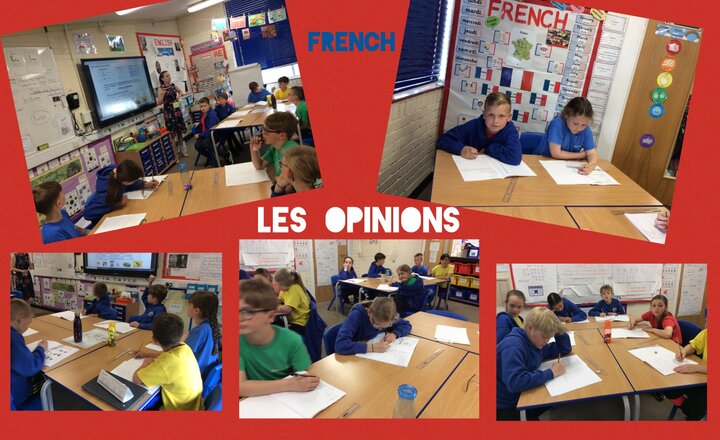 Image of Les Opinions- Year 5
