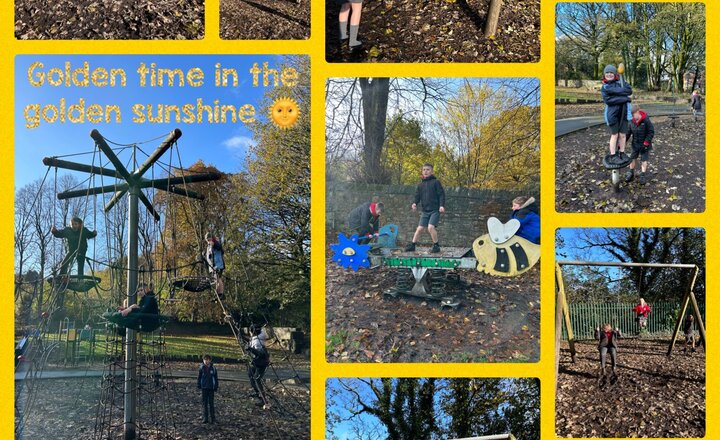 Image of Year 6 Golden time in the golden sunshine 