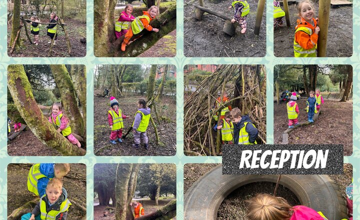 Image of Reception: Forest Schools 