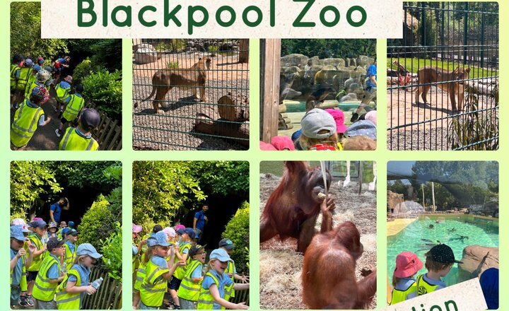 Image of Reception: Blackpool Zoo