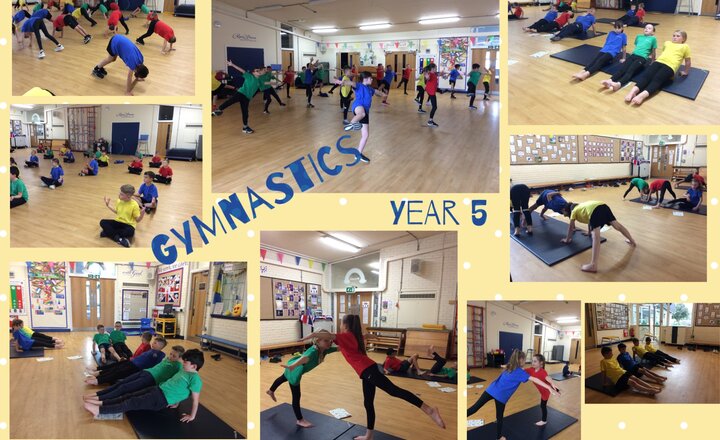 Image of Super Gymnasts - Year 5