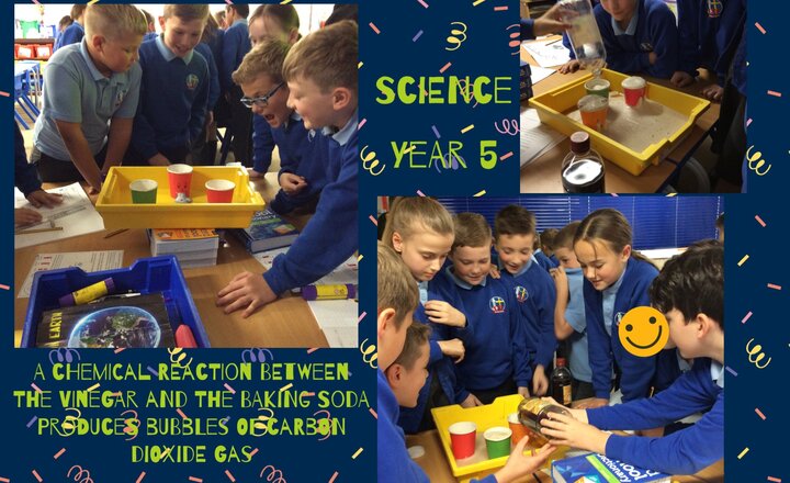 Image of Science- Year 5