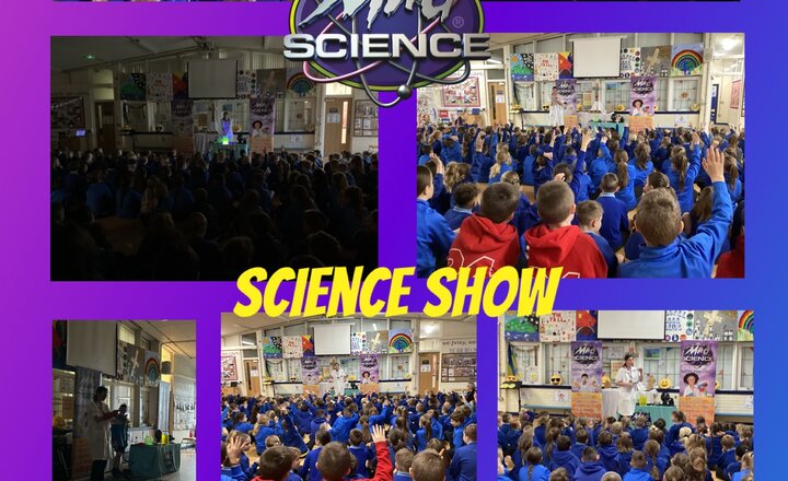 Image of Mad Science Show