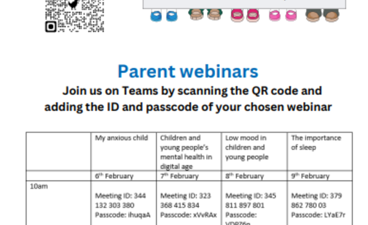 Image of MHST Parent Webinars