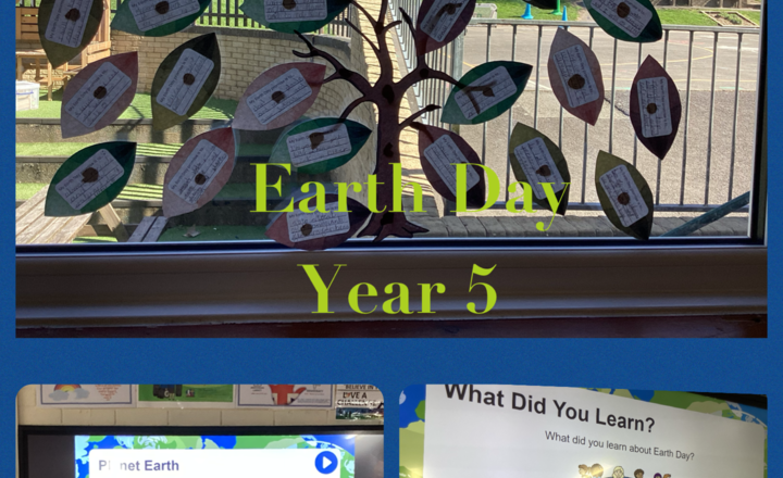 Image of Year 5- Earth Day