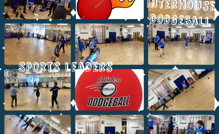 Image of Inter House Dodgeball Event 