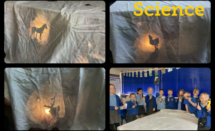 Image of Year 3 - Science- Shadow Puppet Show