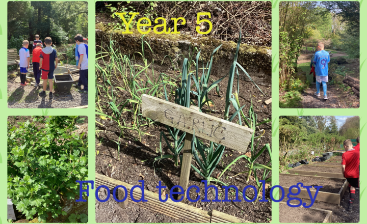 Image of Year 5- Food Technology- Visiting the Herb Garden at Whitehall Park