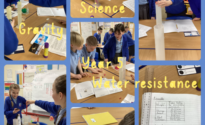 Image of Year 5- Science- Exploring factors which affect an object's ability to resist water