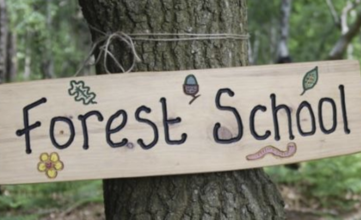 Image of Forest school sessions for KS2